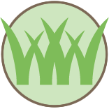 Strive Lawn Care Services