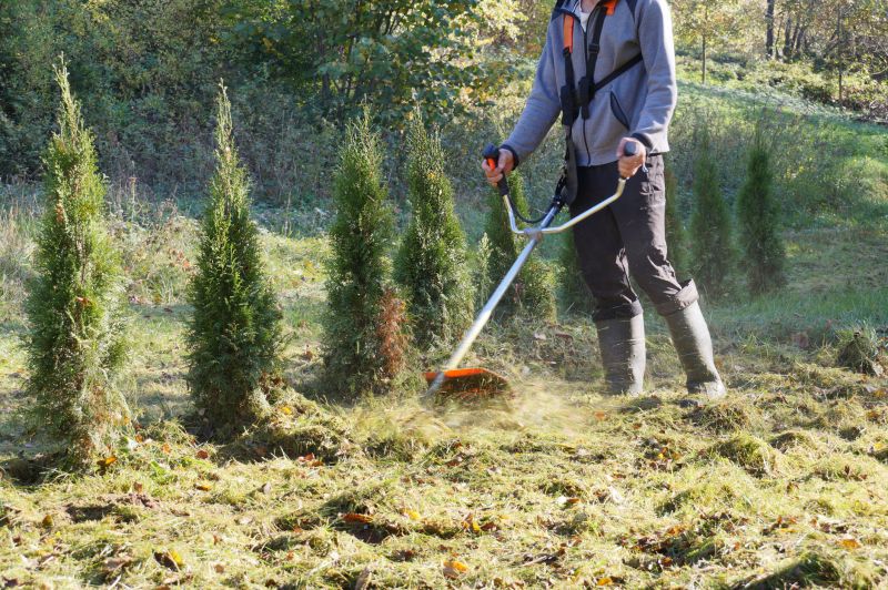 Brush Mowing Service in Prince Georges County, MD