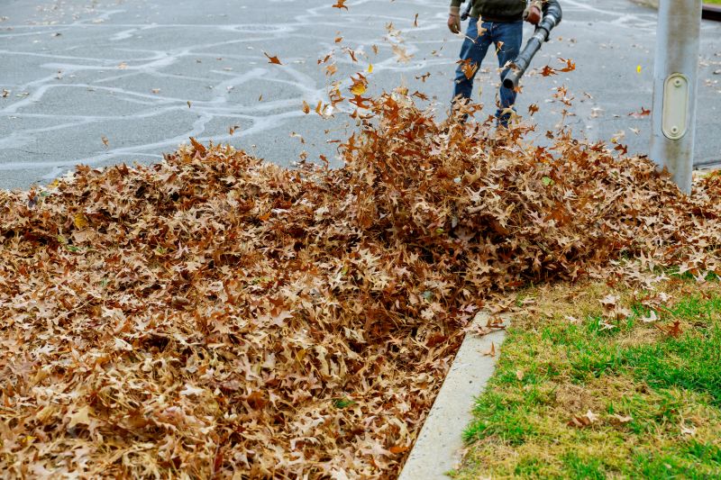 Commercial Leaf Removal in Honolulu, HI
