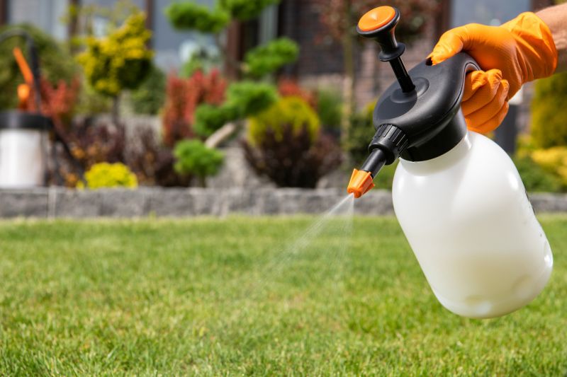 Lawn Fungus Treatment in Honolulu, HI