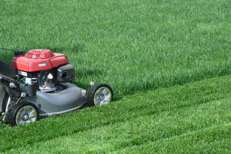 Vacant Lot Mowing in Duluth, MN