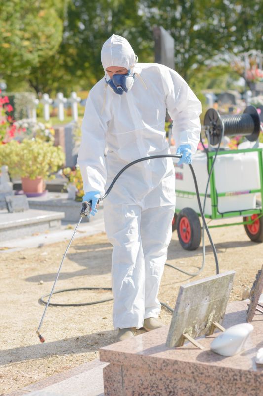 Weed Spraying in Aiken, SC