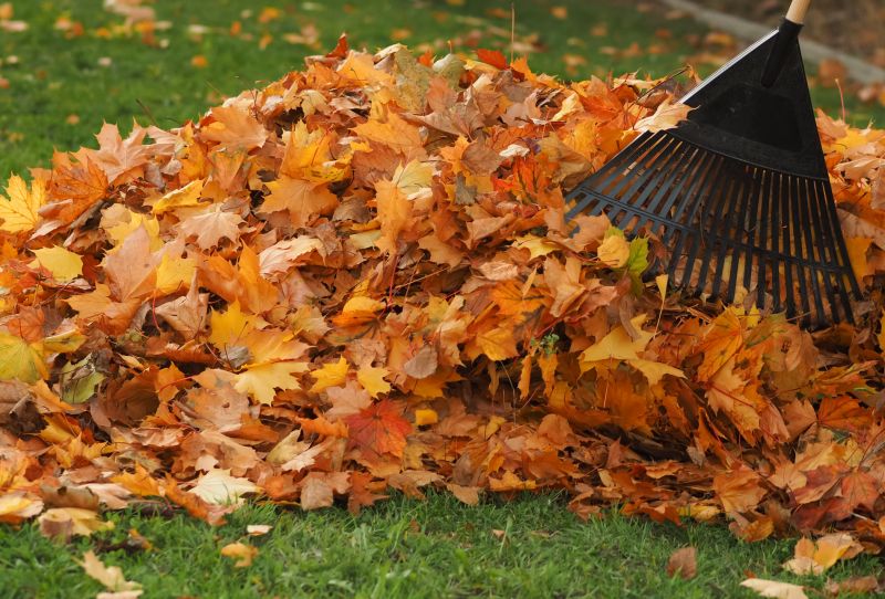 Autumn Leaf Removal in Ventura County, CA