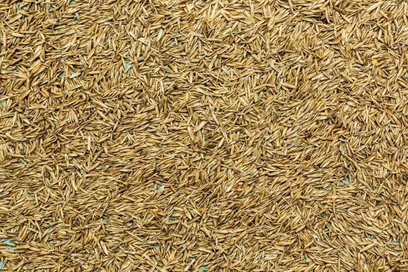 Bermuda Grass Seeding in Honolulu, HI