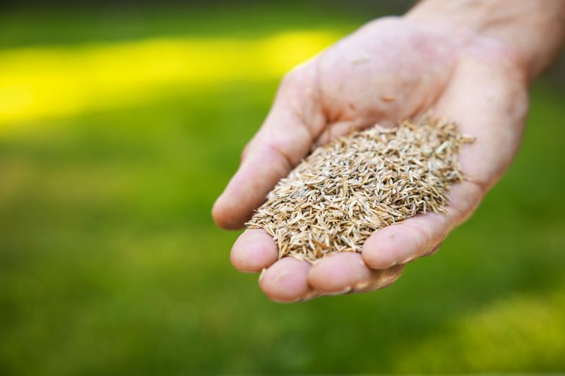 Bermuda Grass Seeding in Ventura County, CA