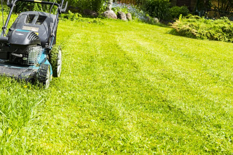 Brush Mowing Service in Duluth, MN