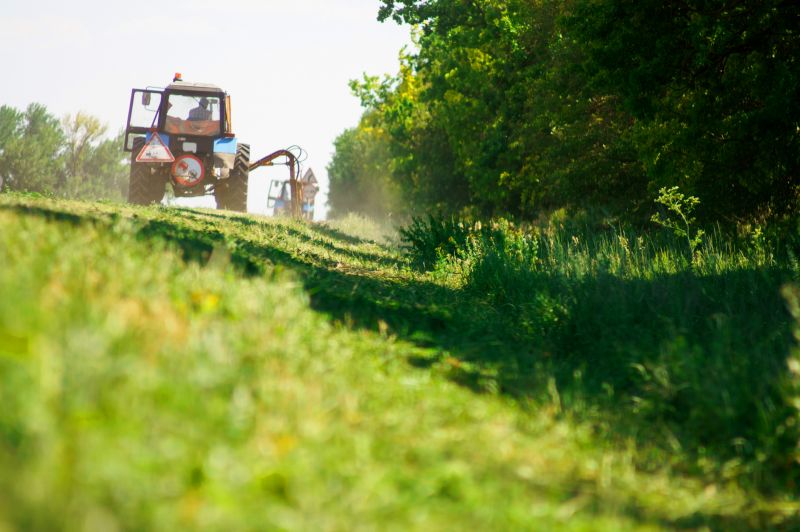 Brush Mowing Service in Duluth, MN