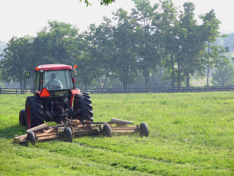 Brush Mowing Service in Calvert County, MD