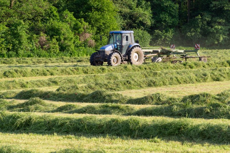 Bush Hogging Service in Prince Georges County, MD
