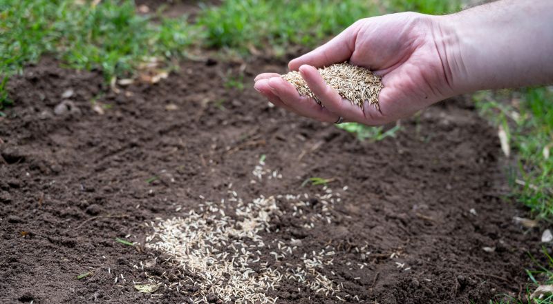Commercial Grass Seeding in Honolulu, HI