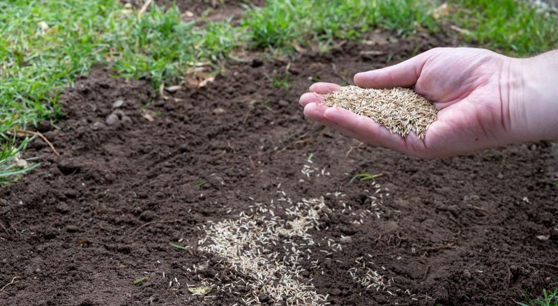 Commercial Lawn Seeding in Honolulu, HI
