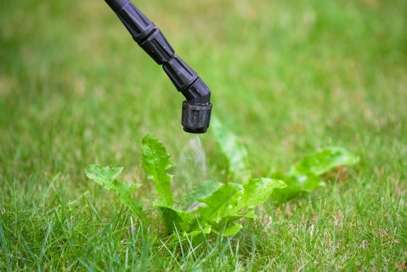 Crabgrass Prevention in Aiken, SC