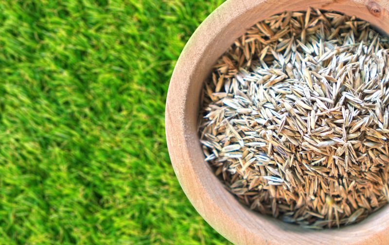 Fall Lawn Seeding in Ventura County, CA