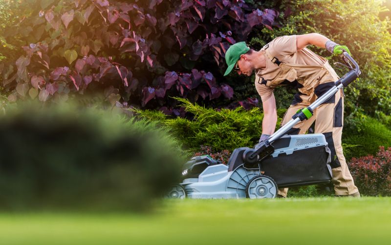 Lawn Care Services detail