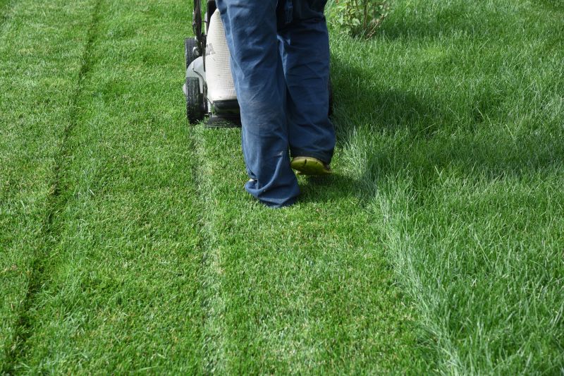 Lawn Care Services detail