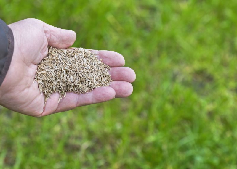 Grass Seed Installation in Ventura County, CA
