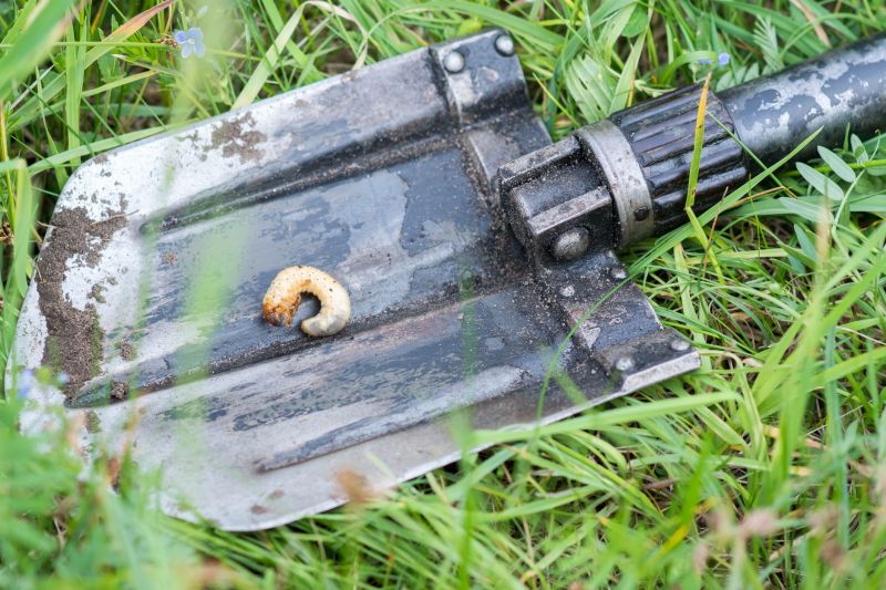 Grub Control in Ventura County, CA