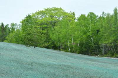 Hill Hydroseeding in Honolulu, HI