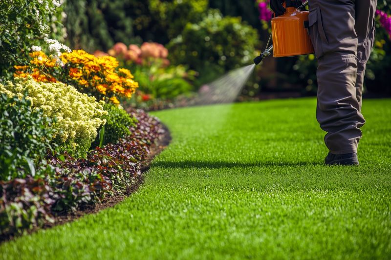 Lawn Enrichment in Ventura County, CA