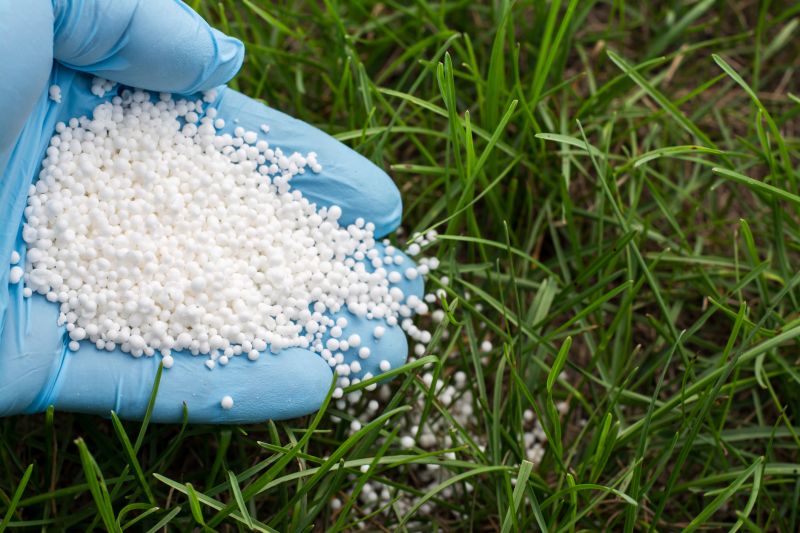 Lawn Fertilization Service in Ventura County, CA