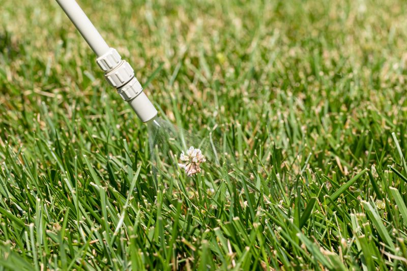 Lawn Herbicide Treatment in Rockwall, TX