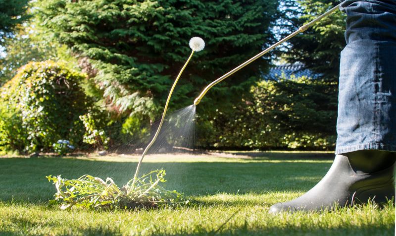 Lawn Weed Control in Honolulu, HI