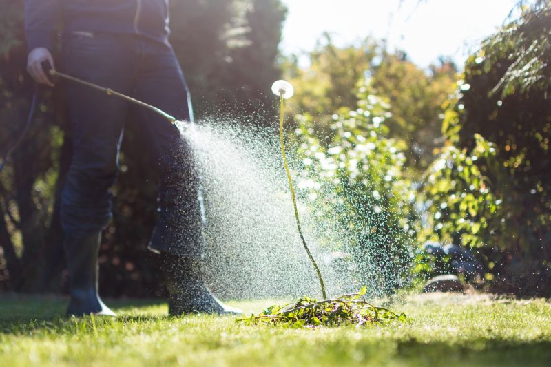 Lawn Weed Spraying in Ventura County, CA