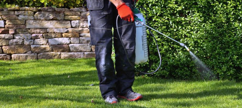 Lawn Weed Spraying in Aiken, SC