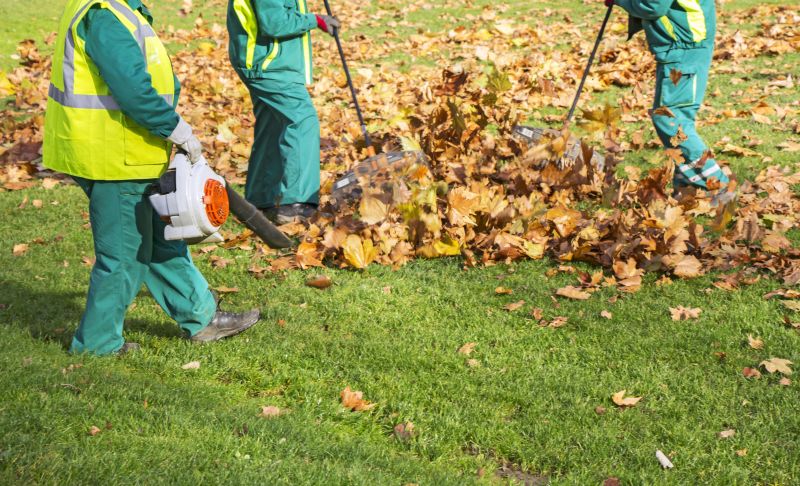 Leaf Raking Service in Honolulu, HI