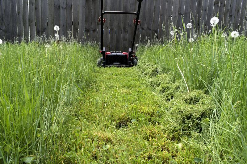 Leaves Mowing in Bowie, MD
