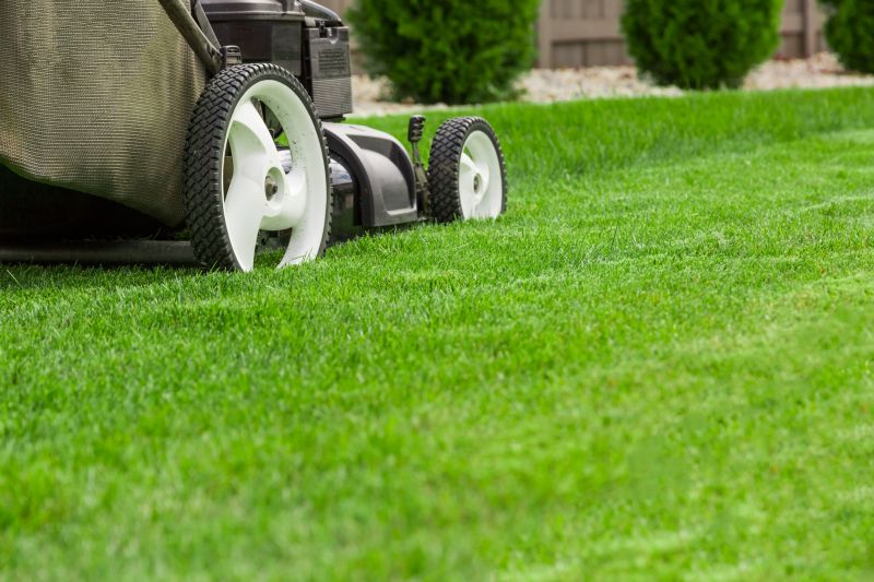 Lot Mowing in Bowie, MD
