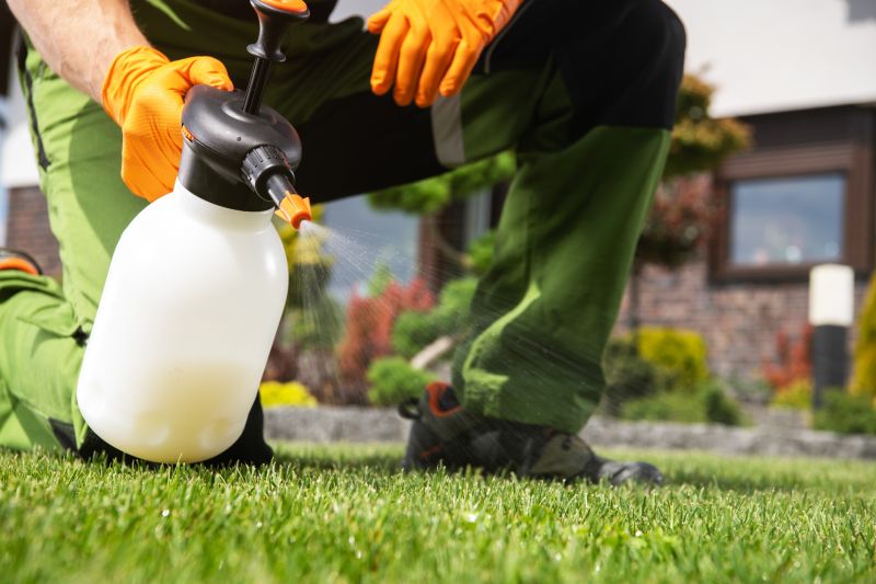 Pampas Grass Control in Honolulu, HI