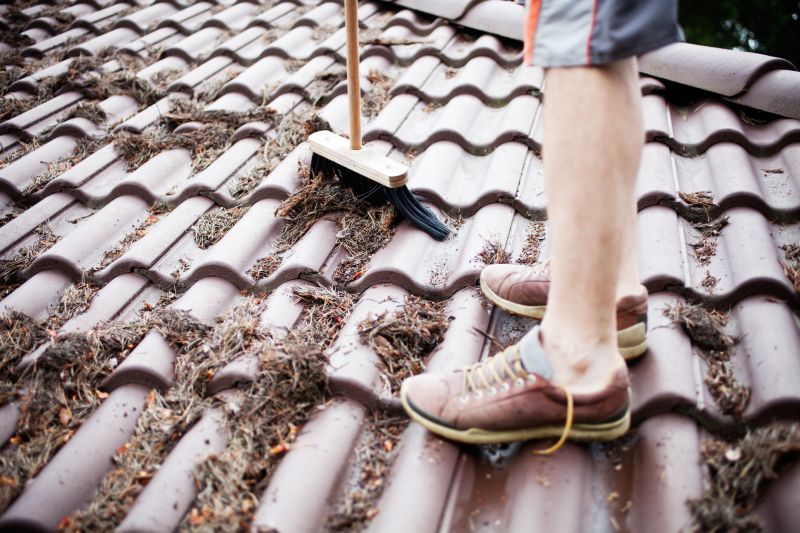 Pine Needles Removal in Ventura County, CA