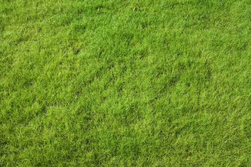 Residential Lawn Seeding in Honolulu, HI