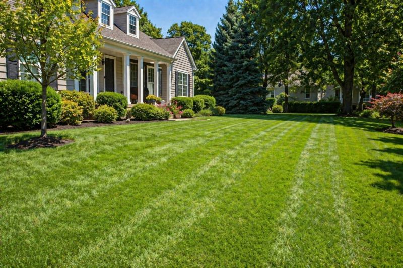 Routine Lawn Care in Bowie, MD