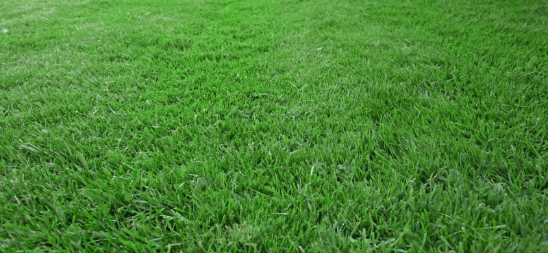 Routine Lawn Care in Bowie, MD