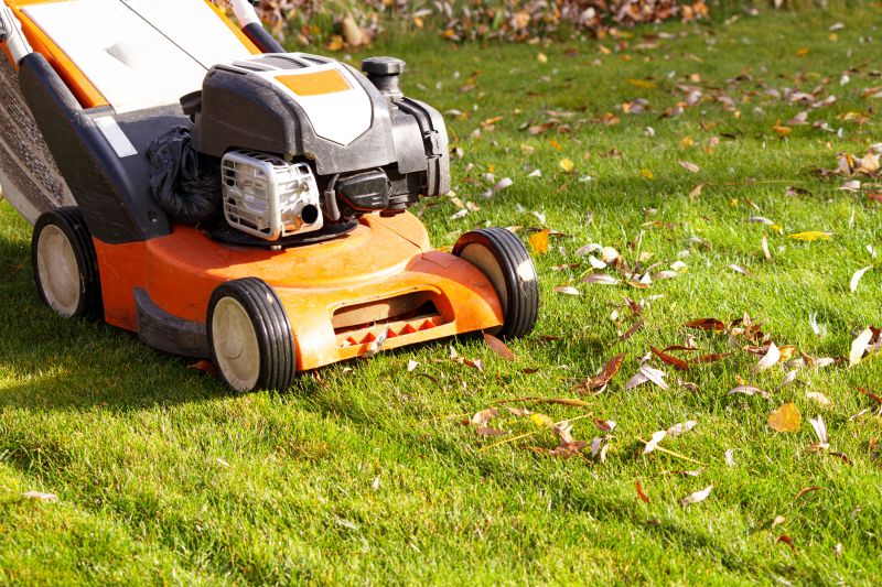 Seasonal Lawn Care in Bowie, MD