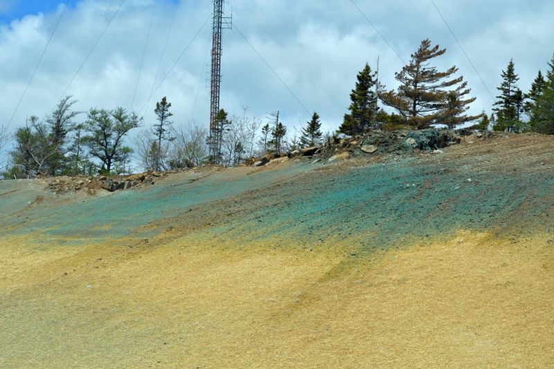 Slope Seeding in Honolulu, HI
