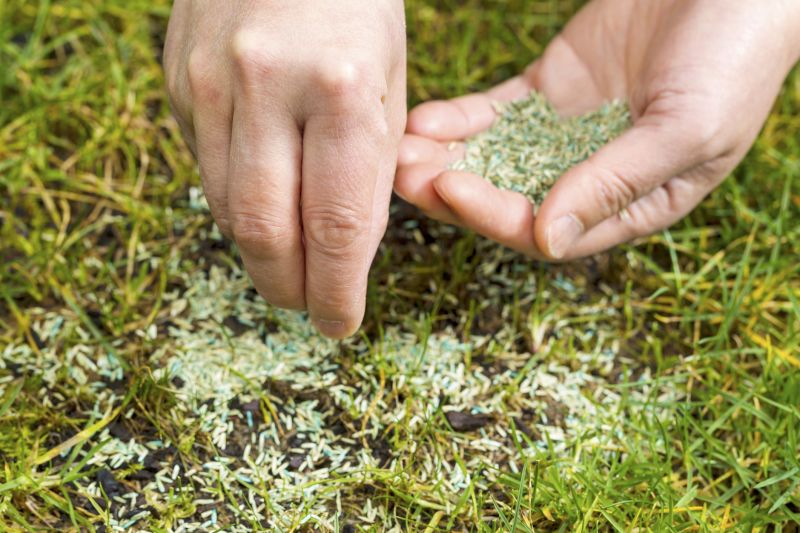 Spring Grass Seeding in Honolulu, HI