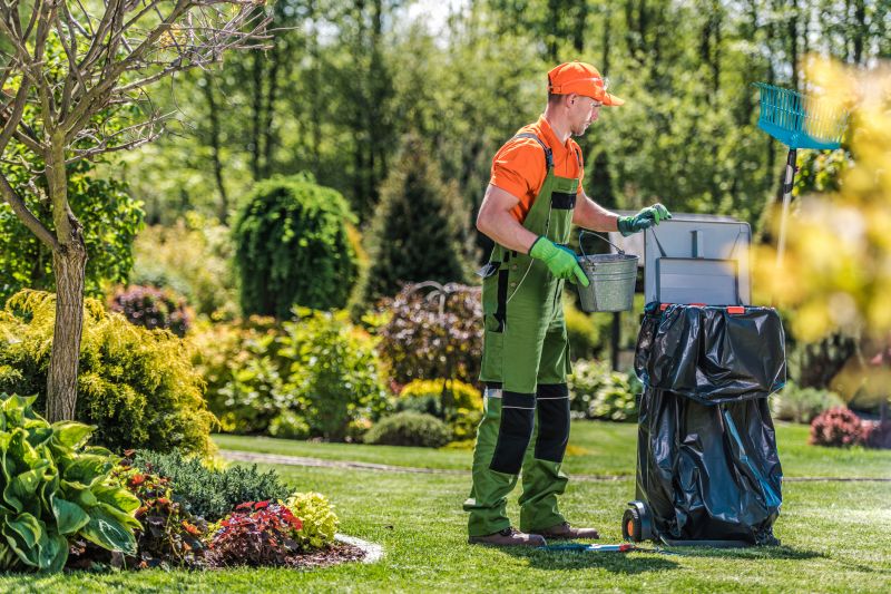 Spring Lawn Cleanup in Ventura County, CA