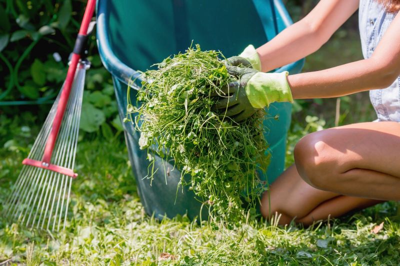 Spring Yard Cleanup in Ventura County, CA