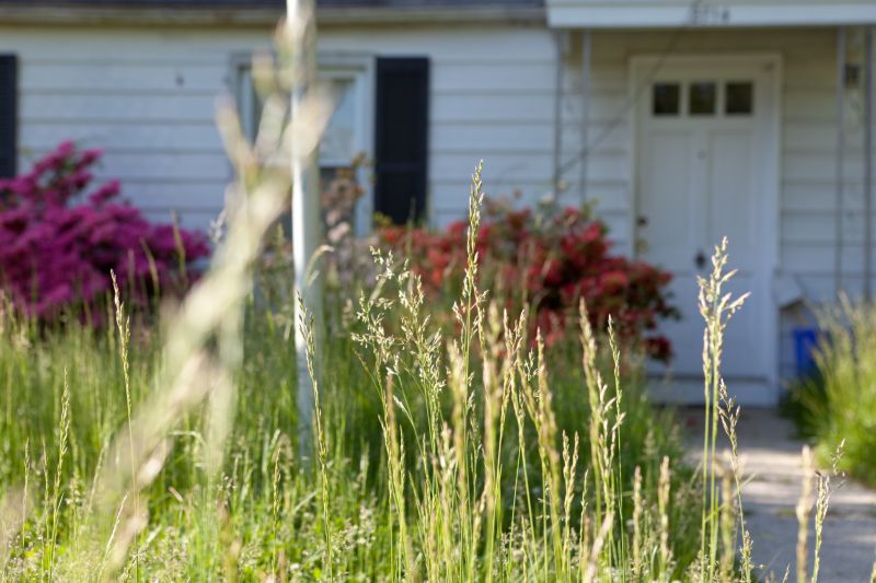 Tall Grass Cutting in Bowie, MD
