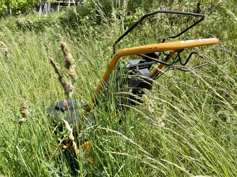 Tall Grass Mowing in Bowie, MD