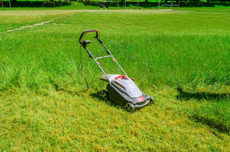 Vacant Lot Mowing in Duluth, MN