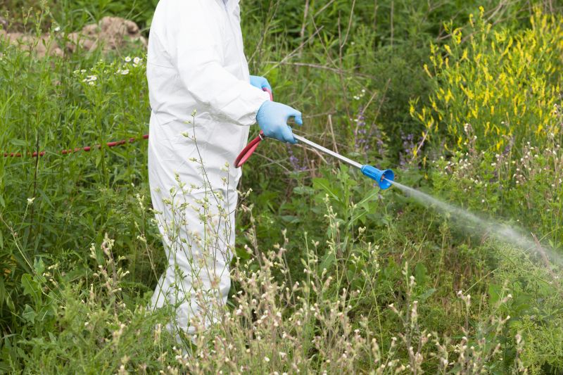 Weed Control Service in Rockwall, TX
