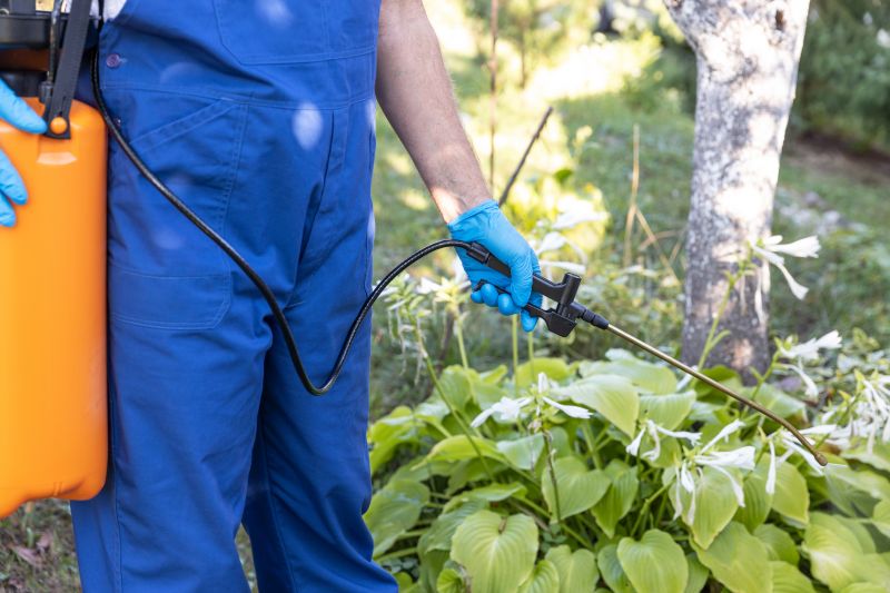 Weed Spraying in Aiken, SC