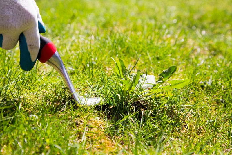 Weeding Service in Ventura County, CA