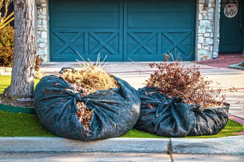 Yard Debris Removal in Honolulu, HI