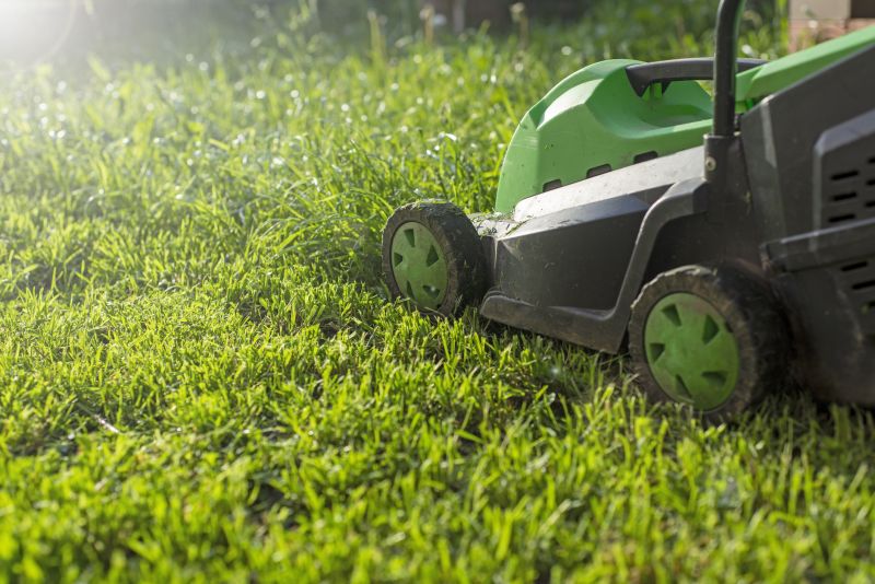 Yard Mowing in Bowie, MD