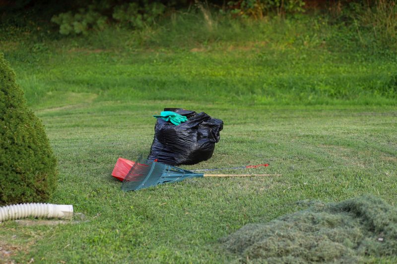 Yard Upkeep Service in Bowie, MD